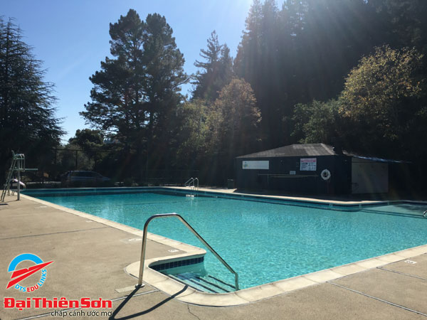 Hồ bơi của trường Brookes Silicon Valley