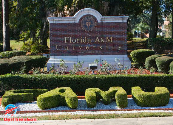 FLORIDA AGRICULTURAL AND MECHANICAL UNIVERSITY