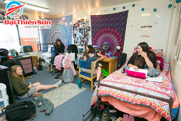 Phòng ở bên trong ký túc xá Idyllwild Arts Academy - Du học Đại Thiên Sơn DTS Phòng ở bên trong ký túc xá Idyllwild Arts Academy - Du học Đại Thiên Sơn DTS