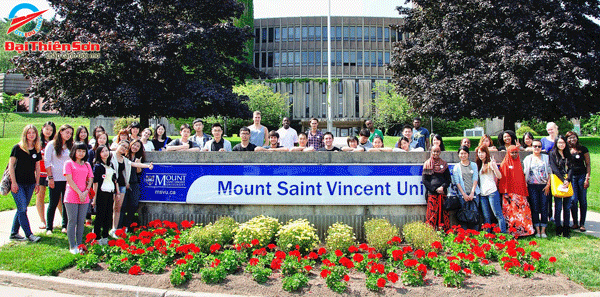 Đại học Mount Saint Vincent