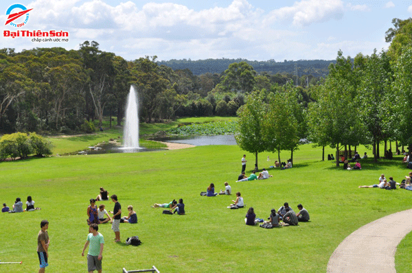 Macquarie University