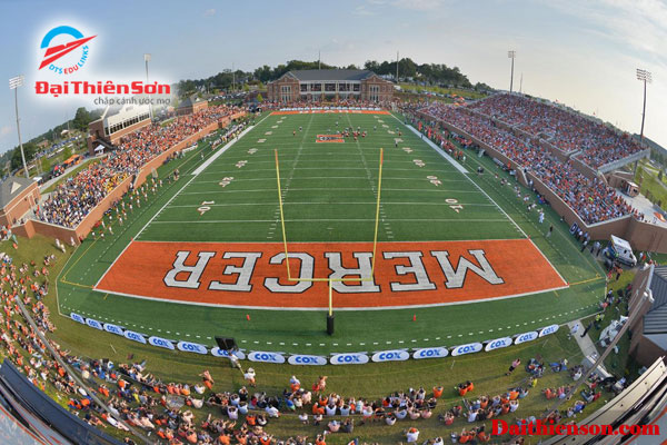 mercer university