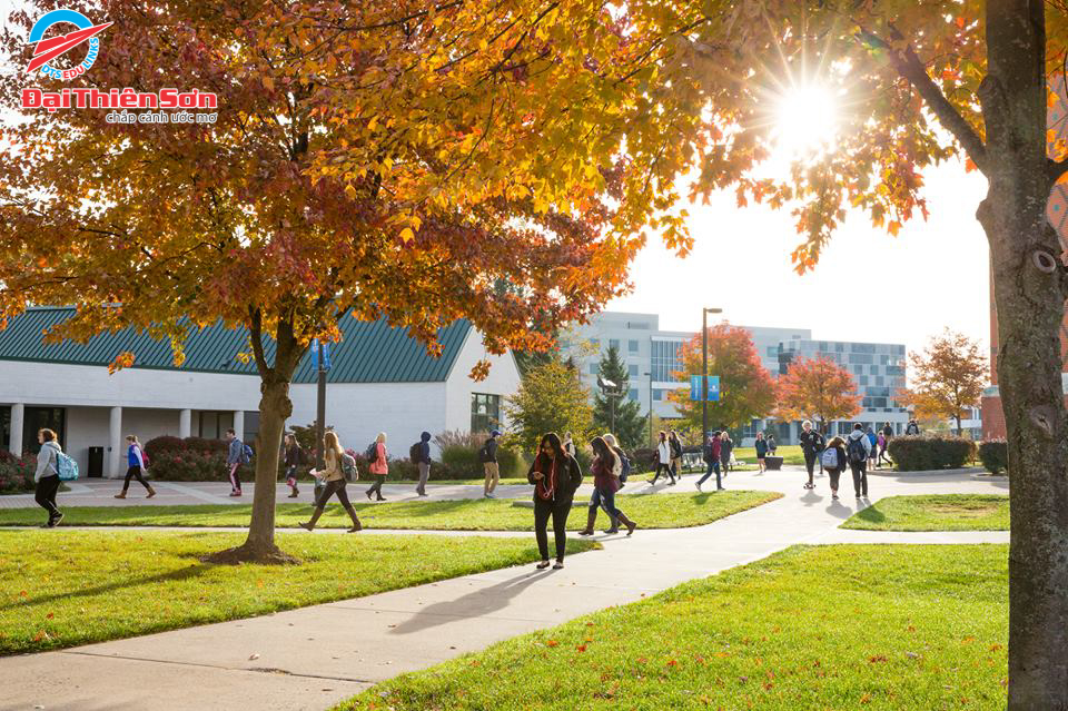 GRAND VALLEY STATE UNIVERSITY