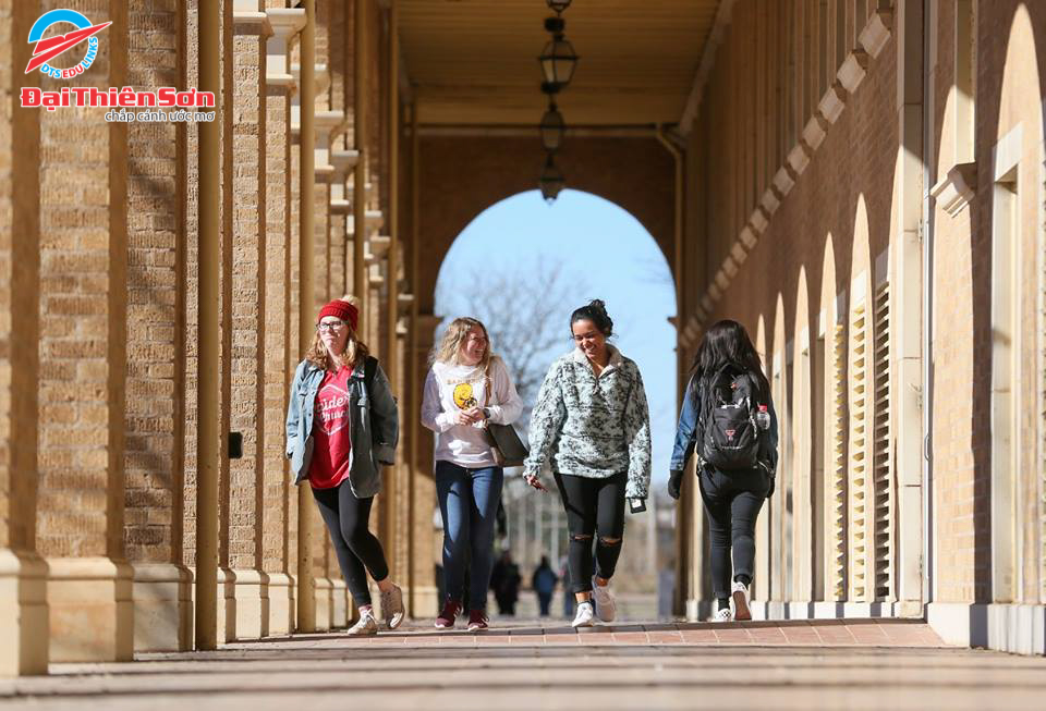 TEXAS TECH UNIVERSITY