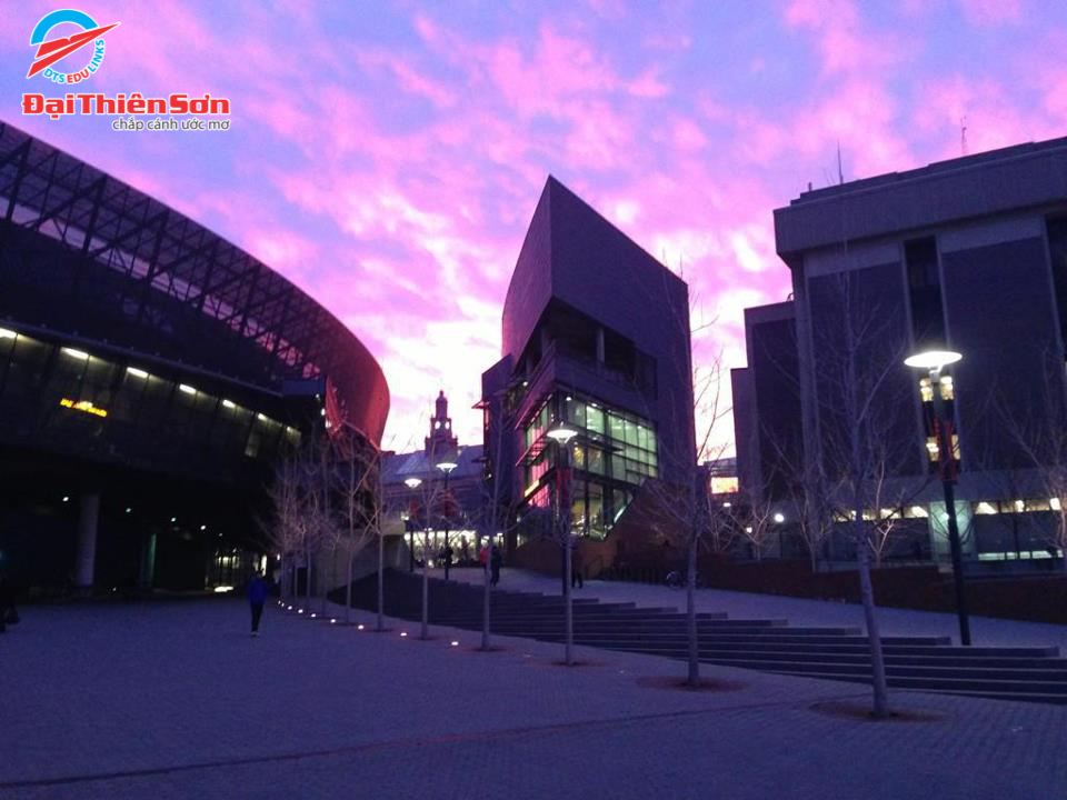 UNIVERSITY OF CINCINNATI