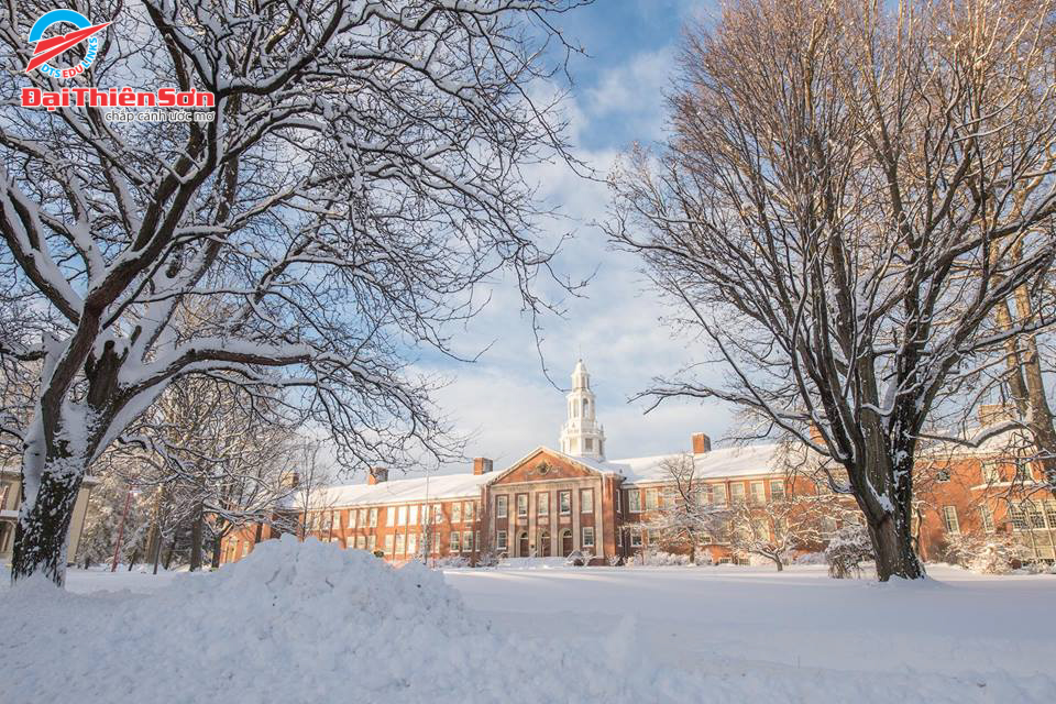 UNIVERSITY OF NEW YORK- BROCKPORT