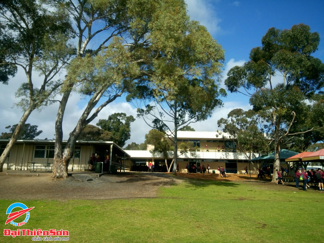 BANKSIA PARK INTERNATIONAL HIGH SCHOOL 