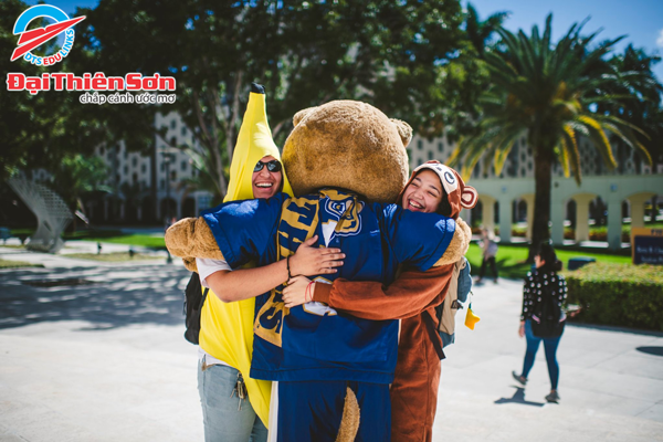 Florida International University