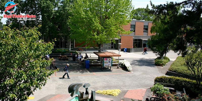 SHORELINE COMMUNITY COLLEGE