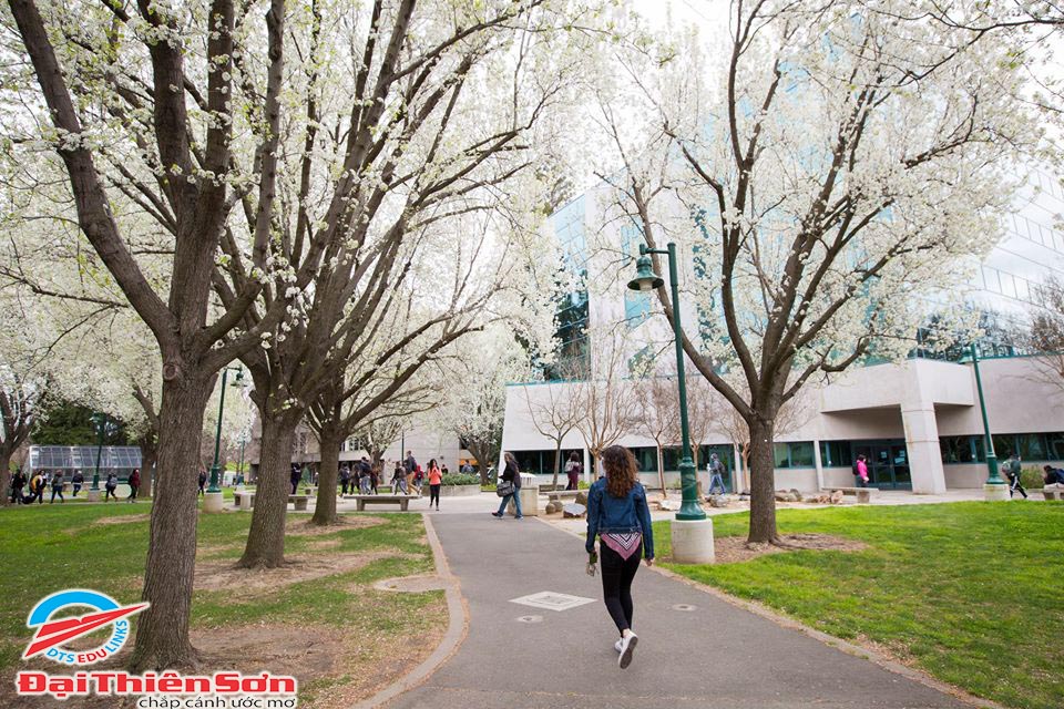 Khuôn viên trường California State University vào mùa Xuân - Du học Đại Thiên Sơn DTS