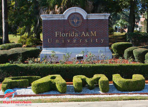 FLORIDA AGRICULTURAL AND MECHANICAL UNIVERSITY