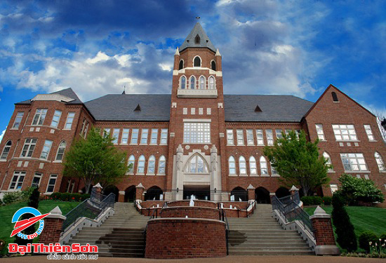 Trường Đại Học Saint Louis