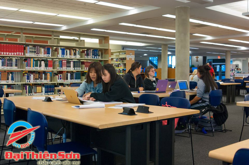 Thư viện của trường King's University College - Du học Đại Thiên Sơn DTS