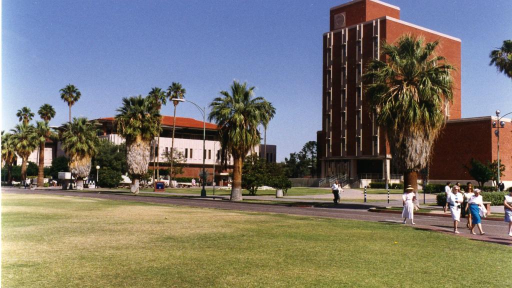 UNIVERSITY OF ARIZONA