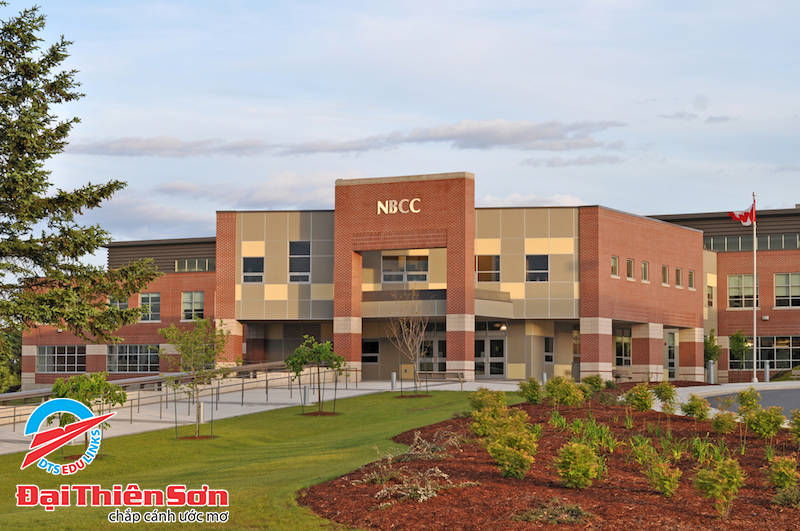 NEW BRUNSWICK COMMUNITY COLLEGE