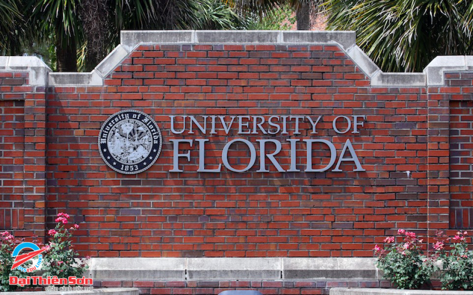 University of Florida