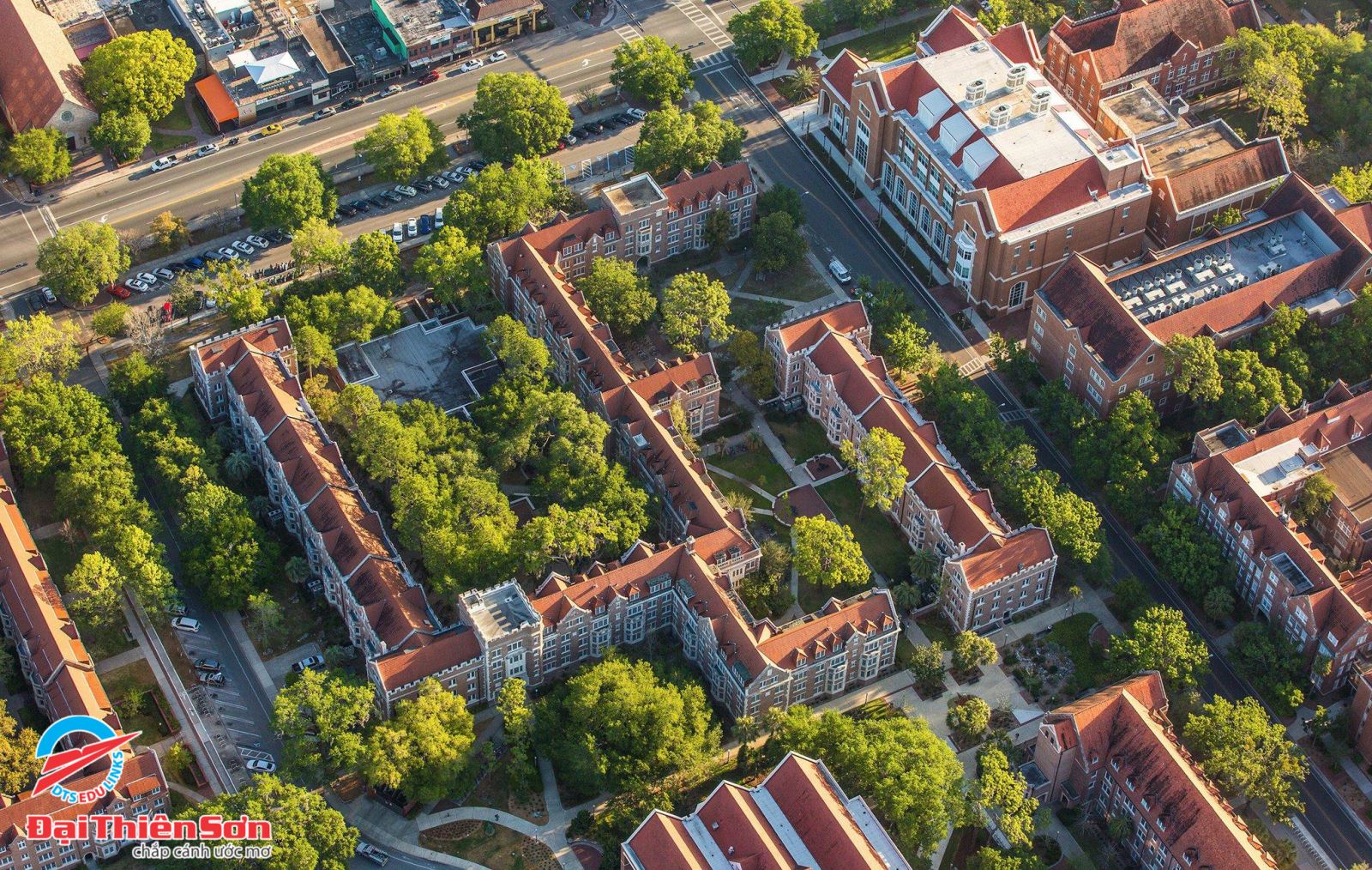 University of Florida