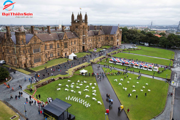 University of Sydney