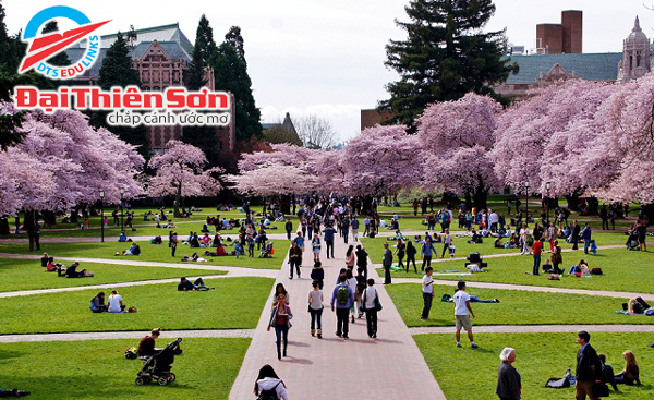 University of Washington (UW) - Du học Đại Thiên Sơn DTS