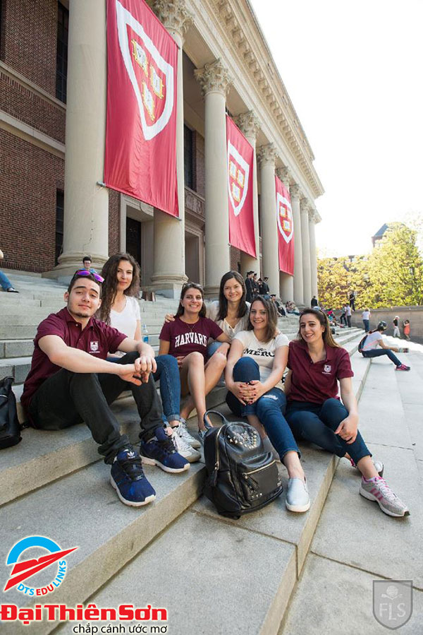 stem camp harvard