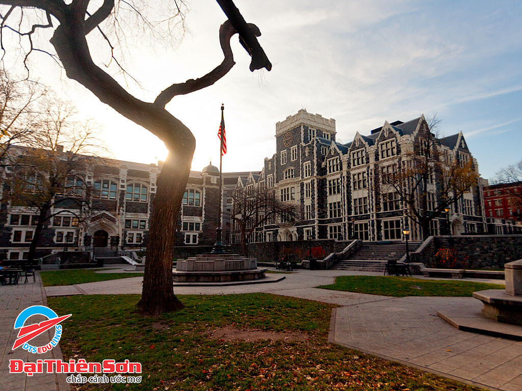 The City College Of New York