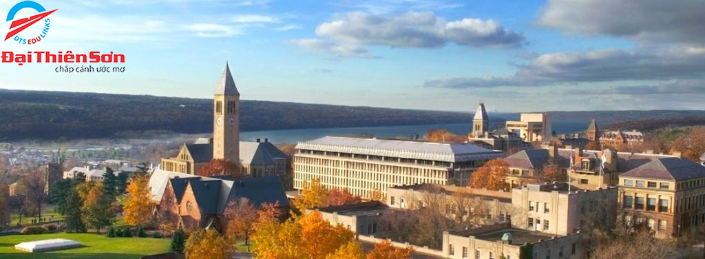 Cornell University