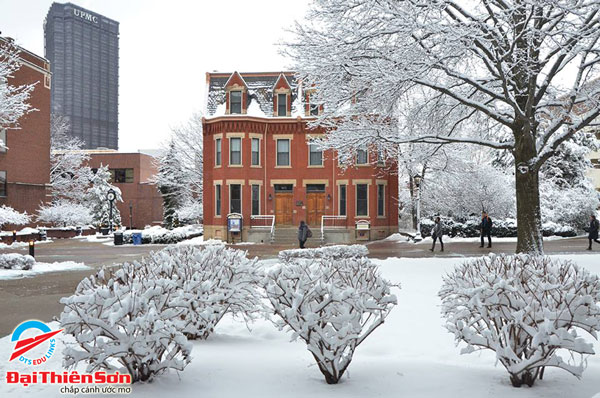 ĐẠI HỌC DUQUESNE, PITTSBURGH, PENNSYLVANIA