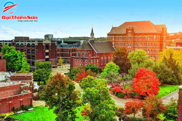 ĐẠI HỌC DUQUESNE, PITTSBURGH, PENNSYLVANIA