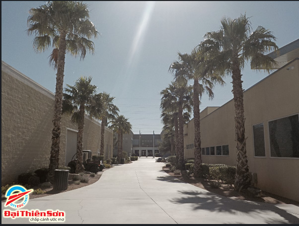 HENDERSON INTERNATIONAL SCHOOL, NEVADA