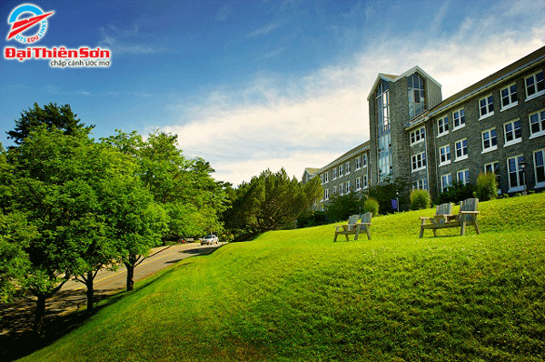 Đại học Mount Saint Vincent