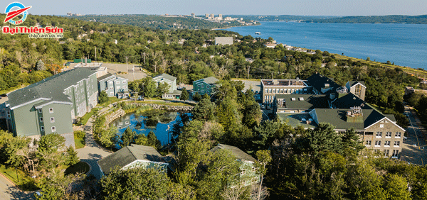 Đại học Mount Saint Vincent