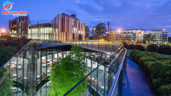 Macquarie University