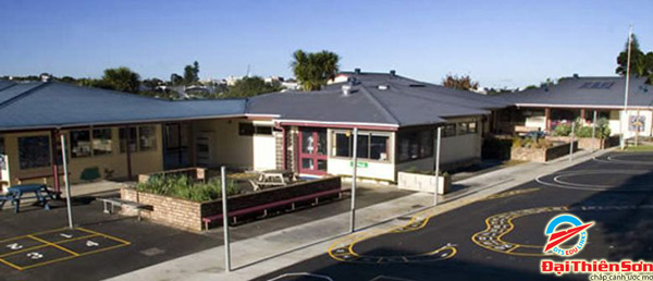 newton school, auckland