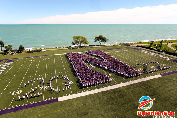 northwestern university 