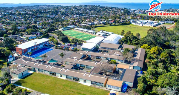 northcross intermediate auckland