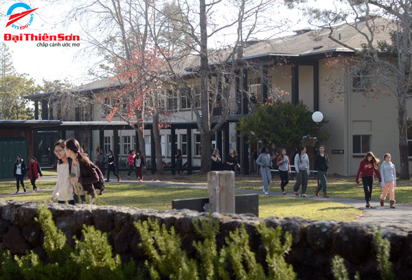 Một góc San Domenico School