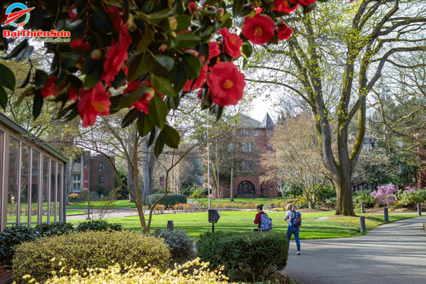 ĐẠI HỌC SEATTLE PACIFIC, WASHINGTON