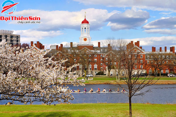 stem camp harvard