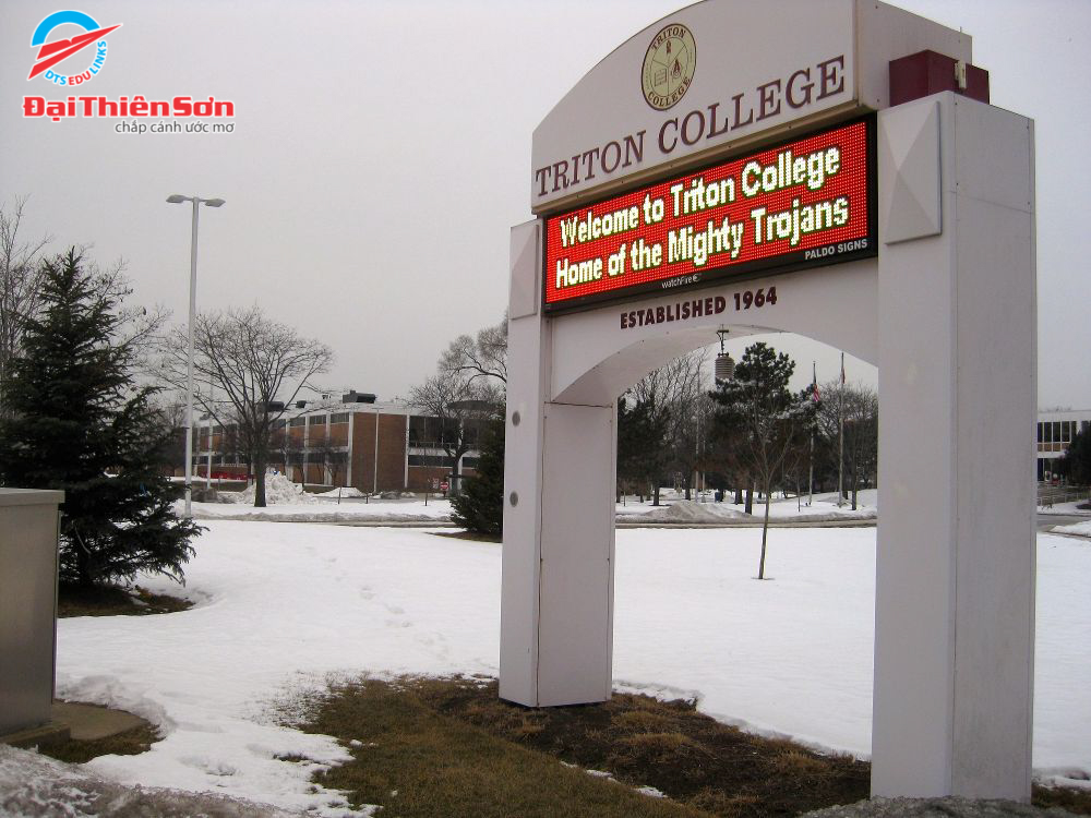 TRITON COLLEGE