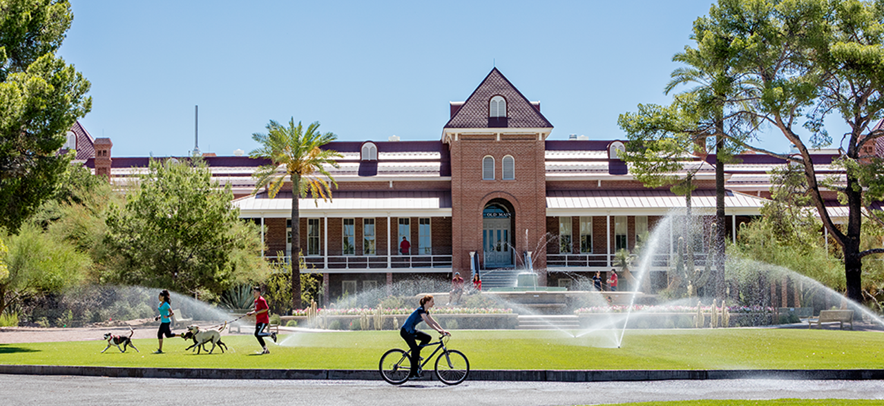 UNIVERSITY OF ARIZONA