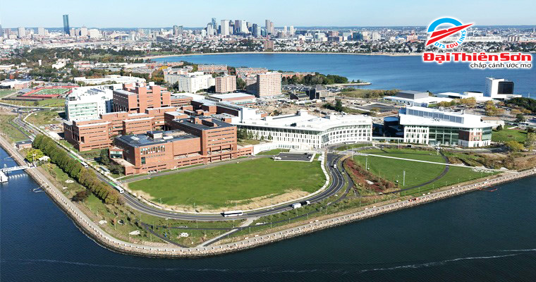 UMass _Boston_view