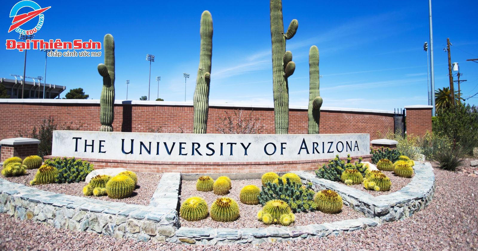 UNIVERSITY OF ARIZONA