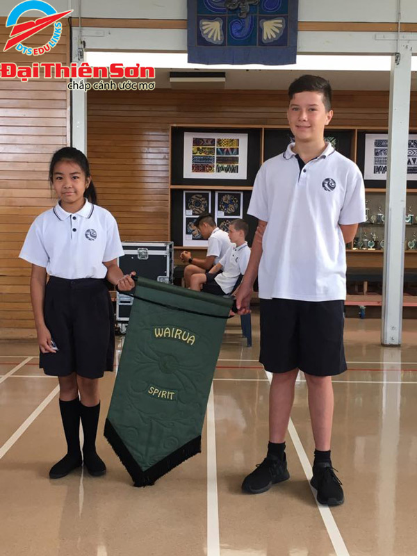 wairau intermediate school