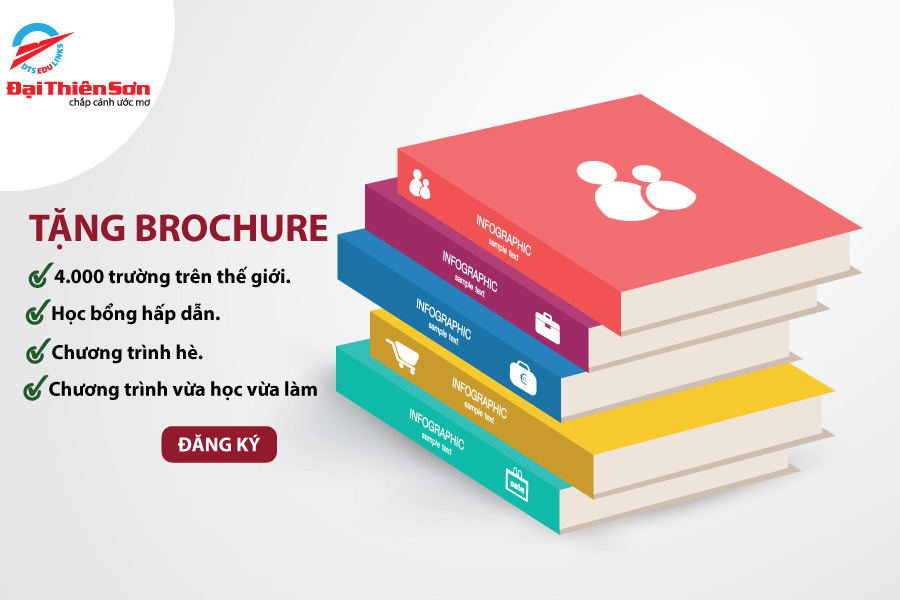 Tặng brochure miễn phí