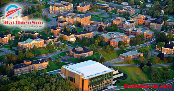 đại học new brunswick