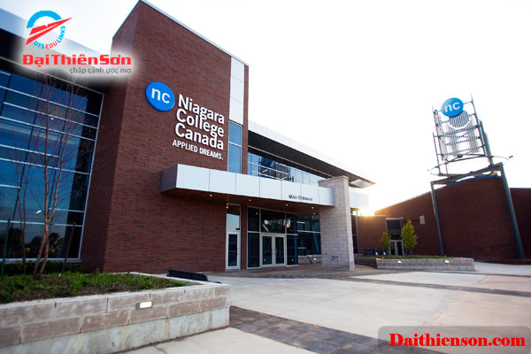 niagara college