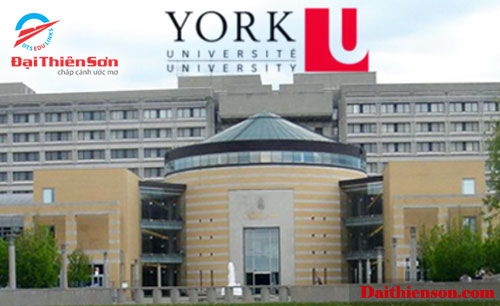 york university 01
