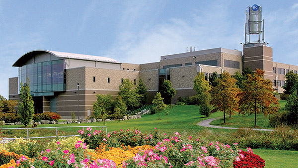 cao đẳng niagara college canada