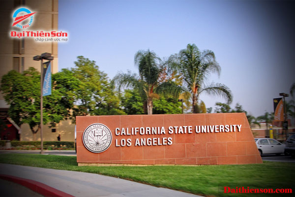 California state university